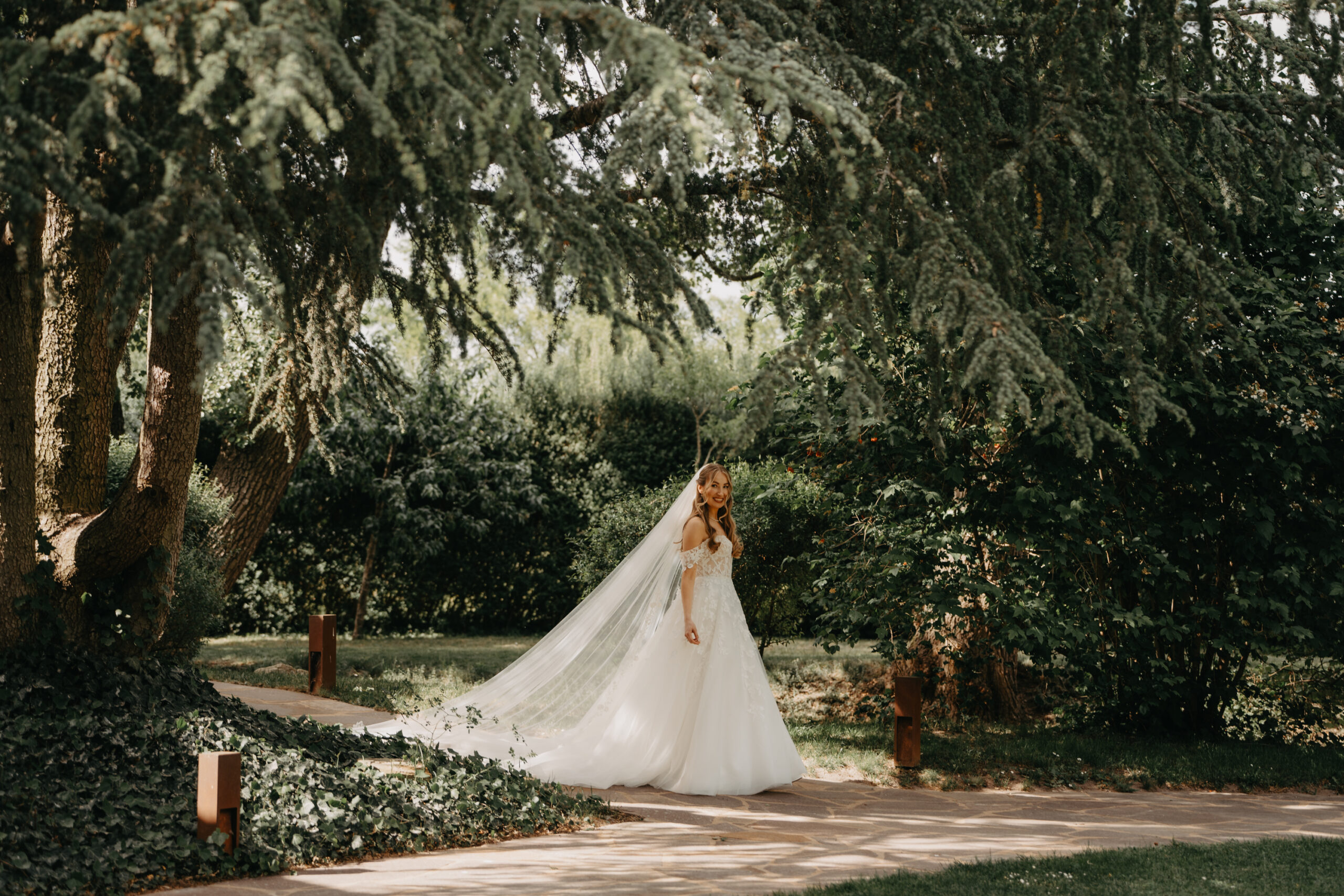 Zwischen Rehbach und Kiefernwald